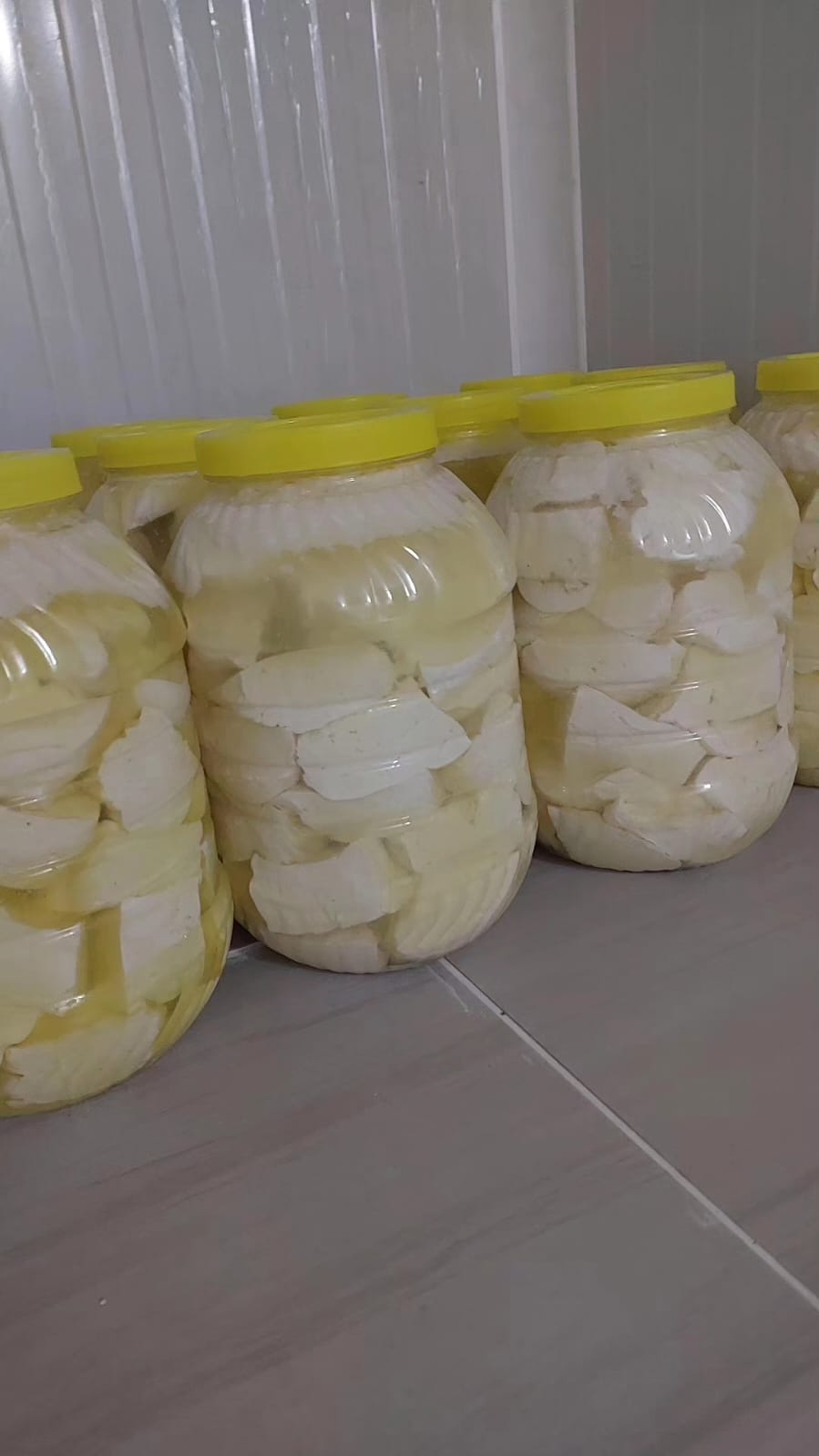   Koyun Salamura Peynir 5 KG